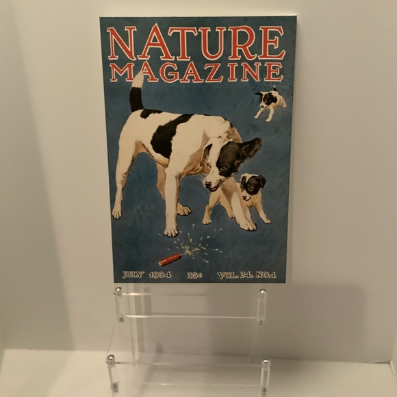 Vintage Nature Magazine Reproduction print - Picture 2 of 10